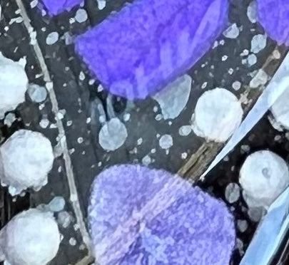 Monarch Butterfly Wing Dangle Earrings